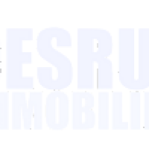 Logo Desrue Immobilier